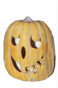 Pumpkin