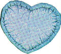 Heart - SOFTIE-flat