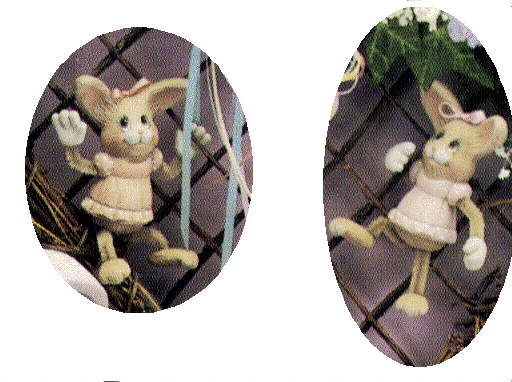 Rabbit girl CLIMBERS