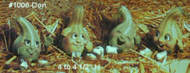 Nogg.- gourds