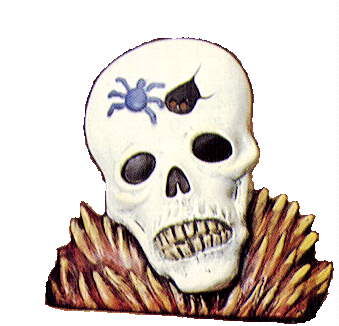 Blinky - Skull