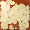 Crystals n Crackles