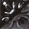 Designer Glazes