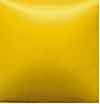 Opaque Acrylics os