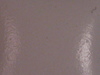 Opaque Acrylics os